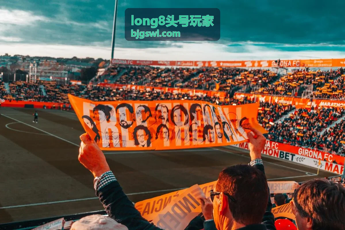 long8头号玩家 案例二